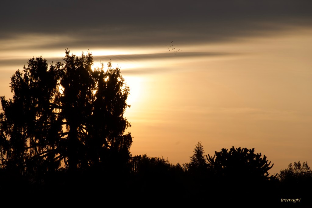 Guardando a 121° Sud Est. Buongiorno&nbsp;sole!