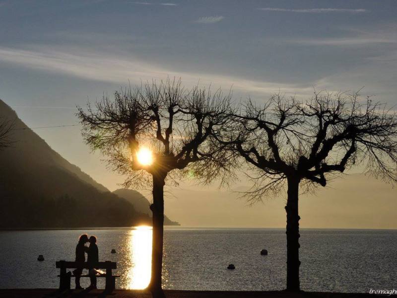 Per San Valentin la lodola fa il&nbsp;nidin