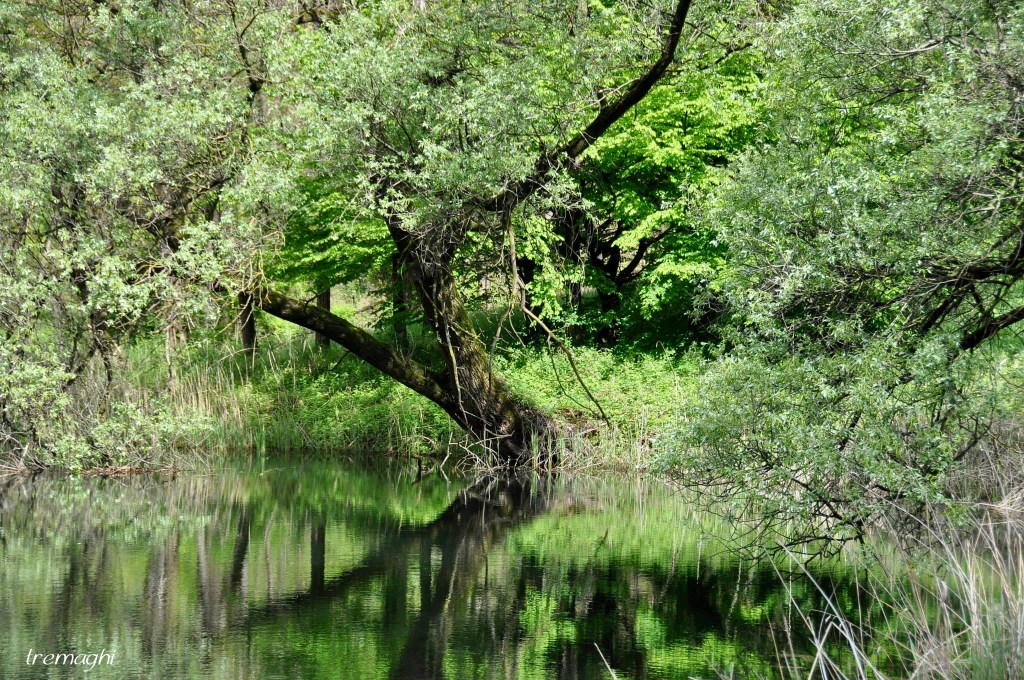 Ci sono luoghi&nbsp;che…