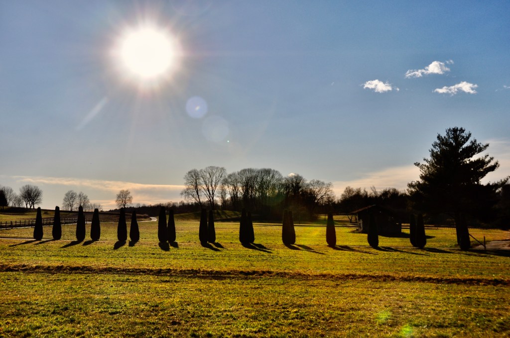Il silenzio della natura è in realtà una sinfonia incessante e meravigliosa (Qing&nbsp;Li)