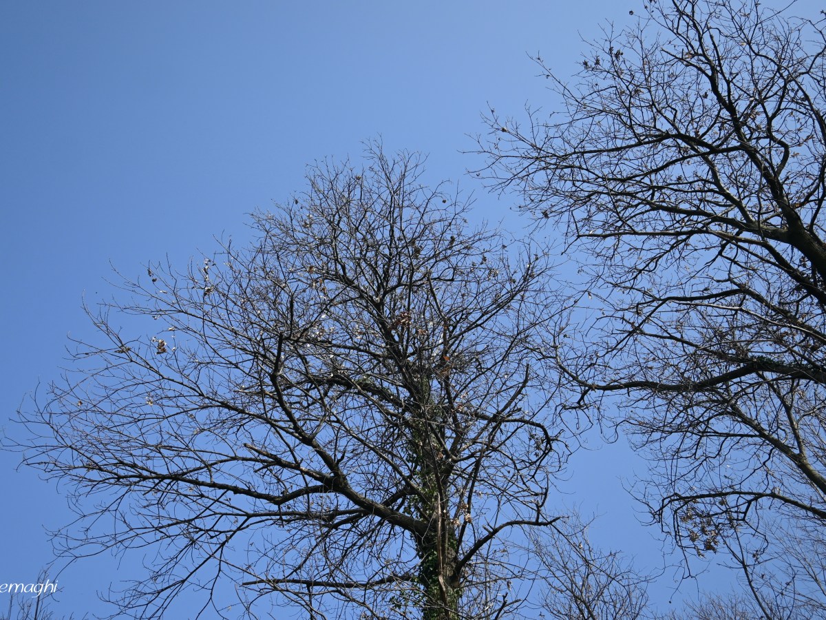 Marzo Re dei capricci, ogni giorno combina&nbsp;pasticci.