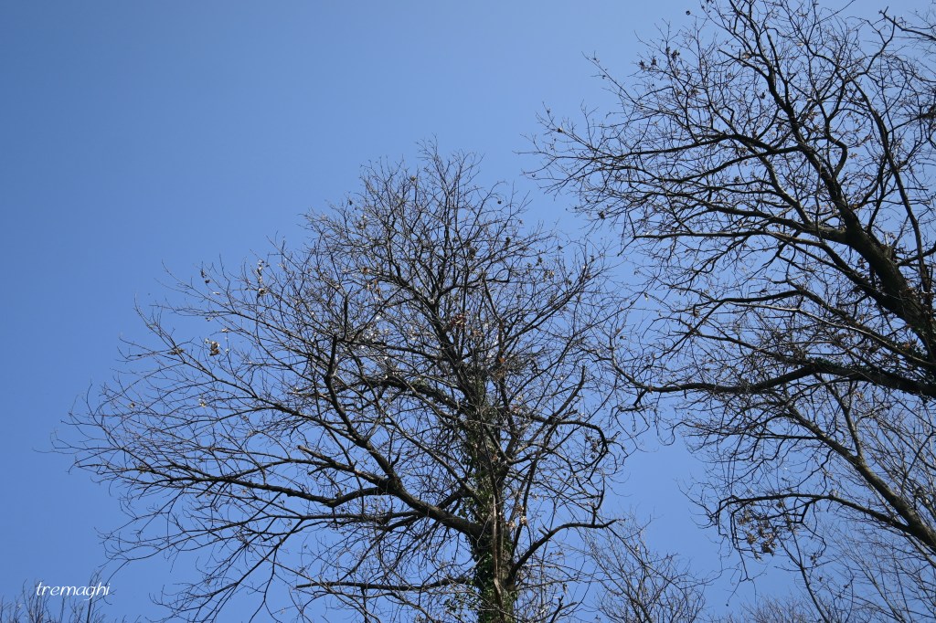 Marzo Re dei capricci, ogni giorno combina&nbsp;pasticci.