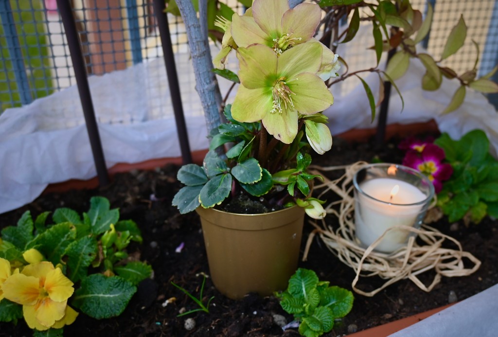 Alla Madonna della Candelora dall’inverno siamo fuori, ma se nevica o tira vento 40 giorni siamo ancora&nbsp;dentro