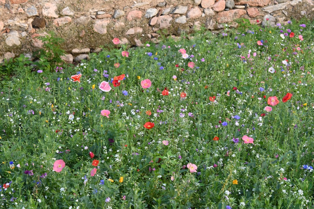Quell’angolo di Varese come un quadro di&nbsp;Monet