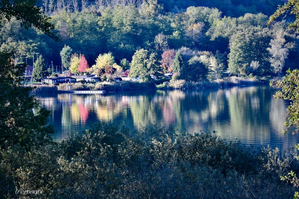 Cammina come se stessi baciando la Terra con i tuoi piedi (Thich Nhat&nbsp;Hanh)