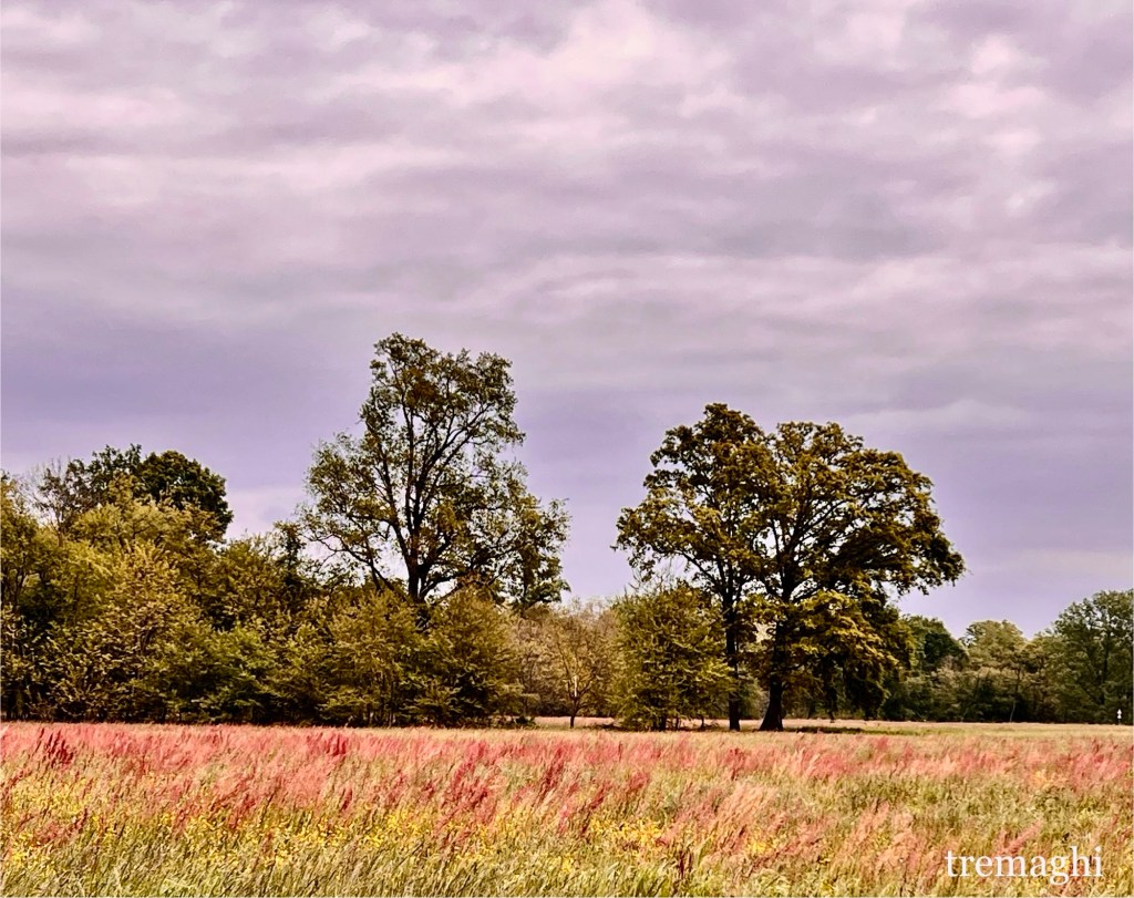 Tornerai, maledetta primavera
