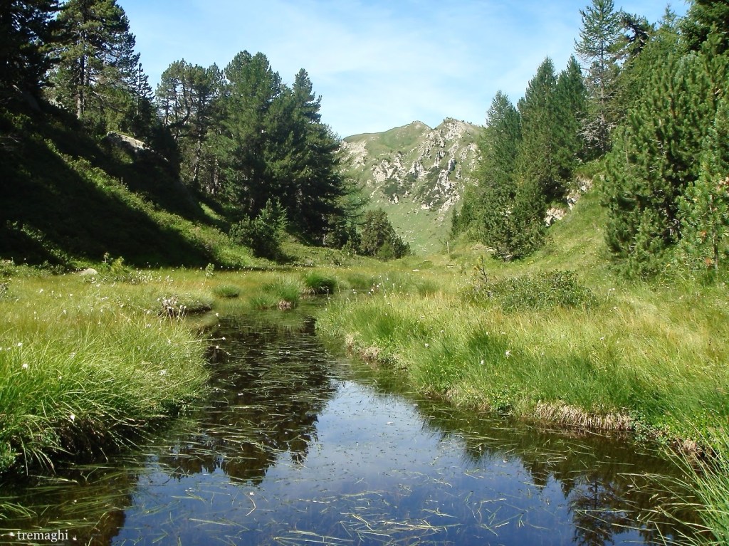 I Monti sono maestri muti e fanno discepoli silenziosi (Johann Wolfgang von&nbsp;Goethe)