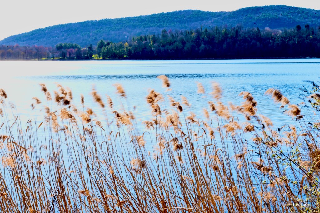 Fuubutsushi, sensazioni che evocano l’arrivo della&nbsp;primavera