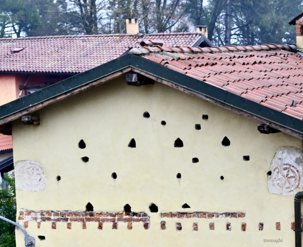 Azzate e le sue rondonaie celebrano la Giornata Mondiale dei Rondoni e il progetto di biodiversità&nbsp;urbana