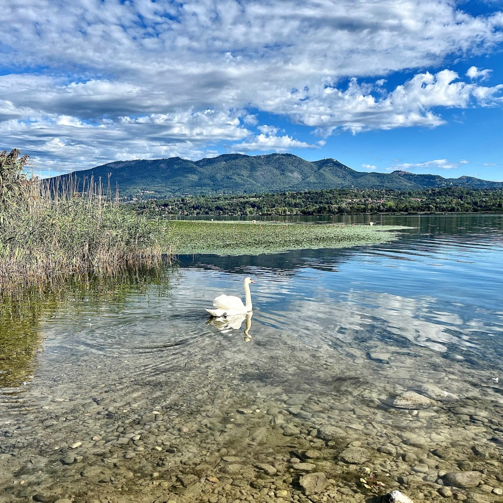 Meraviglioso lago di Varese, la sua storia e&nbsp;cultura