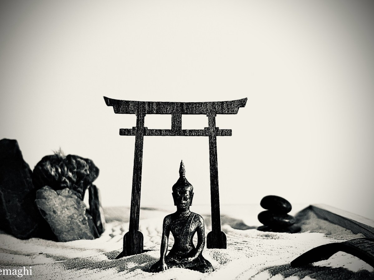 La meditazione non è un’evasione ma un incontro sereno con la realtà (Thich Nhat&nbsp;Hanh)