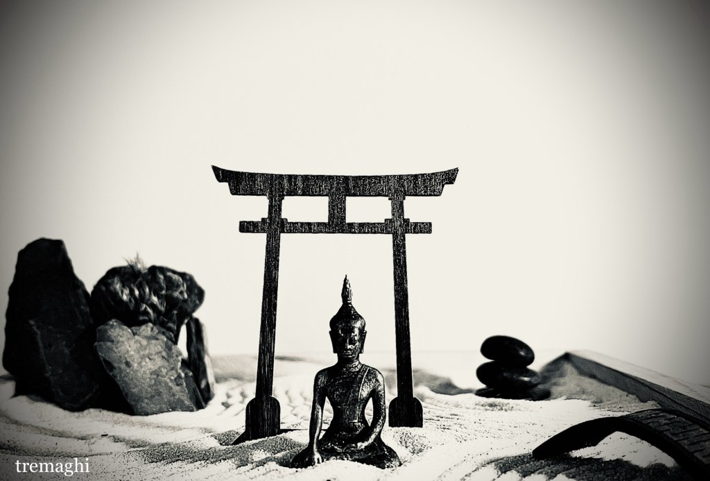 La meditazione non è un’evasione ma un incontro sereno con la realtà (Thich Nhat&nbsp;Hanh)
