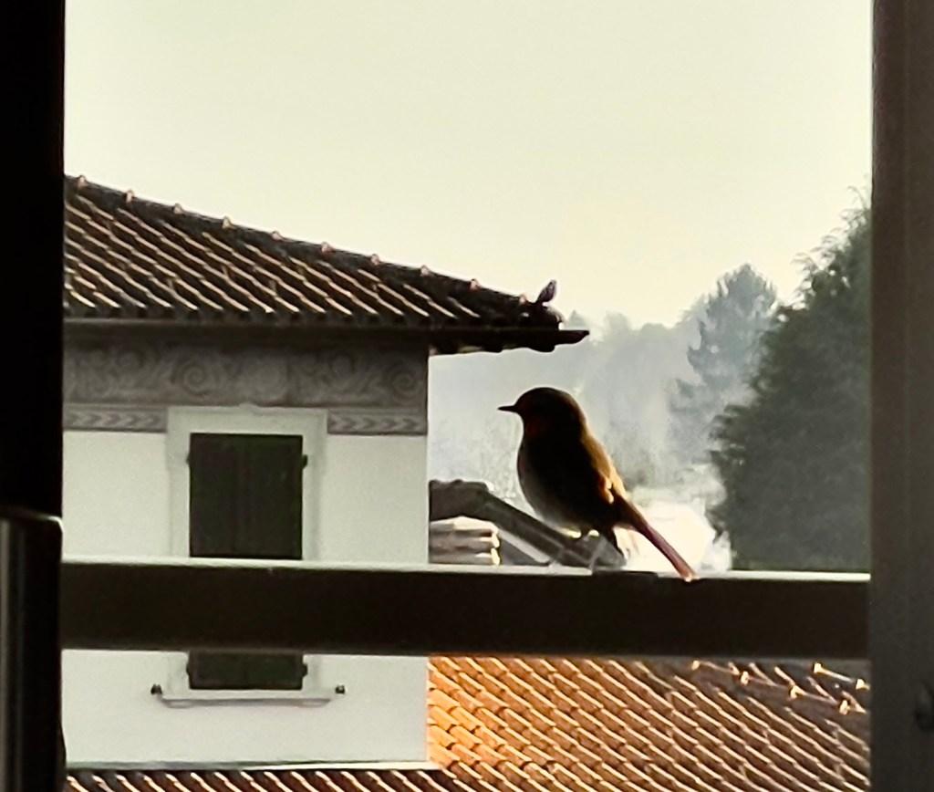 La gratitudine è la memoria del cuore (Lao&nbsp;Tzu)