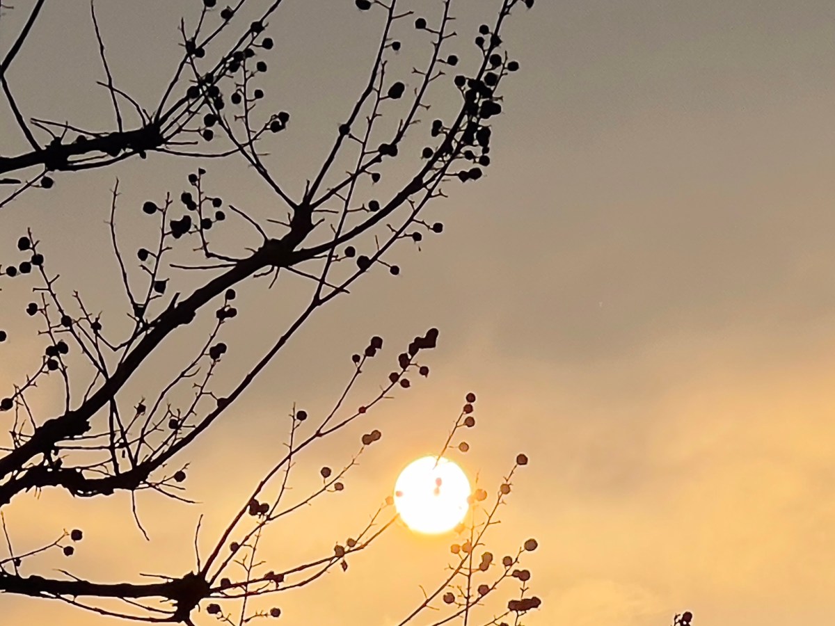 …E che nel 2026 il sole possa splendere nelle vostre vite, anche se non si&nbsp;vede.