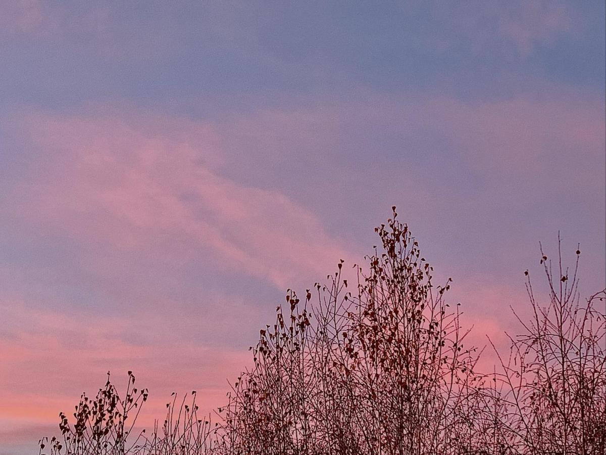 Haiku del 5&nbsp;febbraio