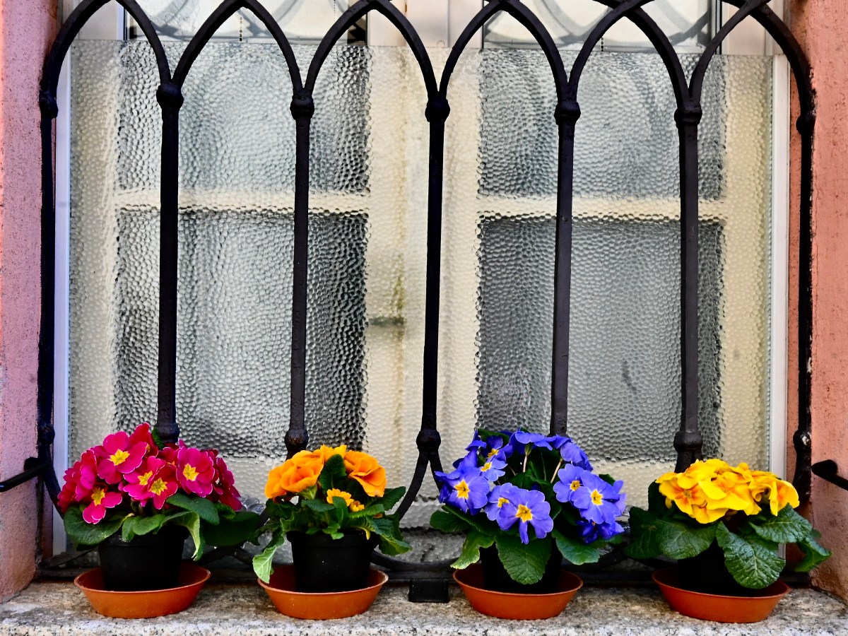 La magia di Marzo, in poesia e&nbsp;musica