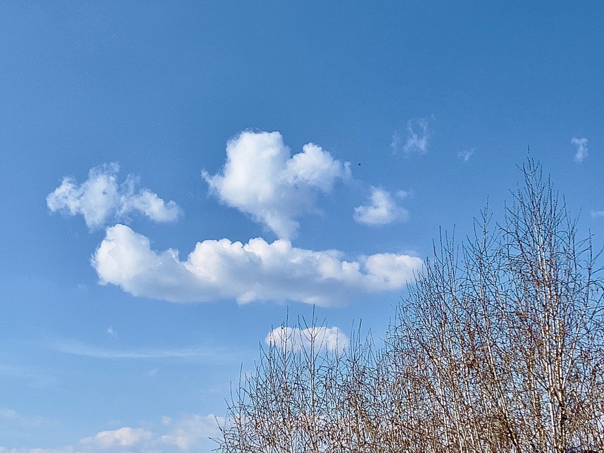 Non mi stanco mai di un cielo azzurro (Vincent van&nbsp;Gogh)