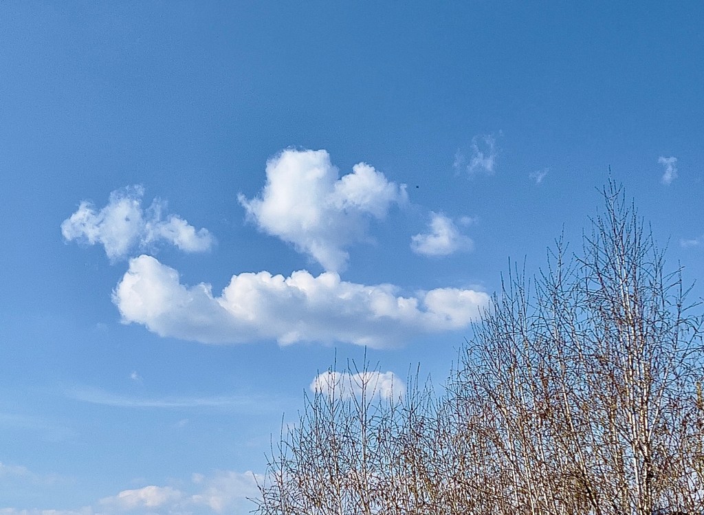 Non mi stanco mai di un cielo azzurro (Vincent van&nbsp;Gogh)