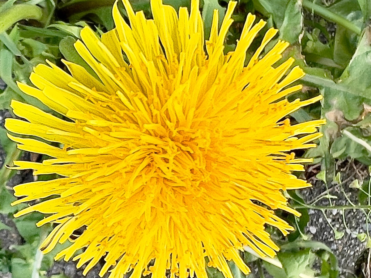 É già fine Marzo… arrivederci mese&nbsp;pazzerello!