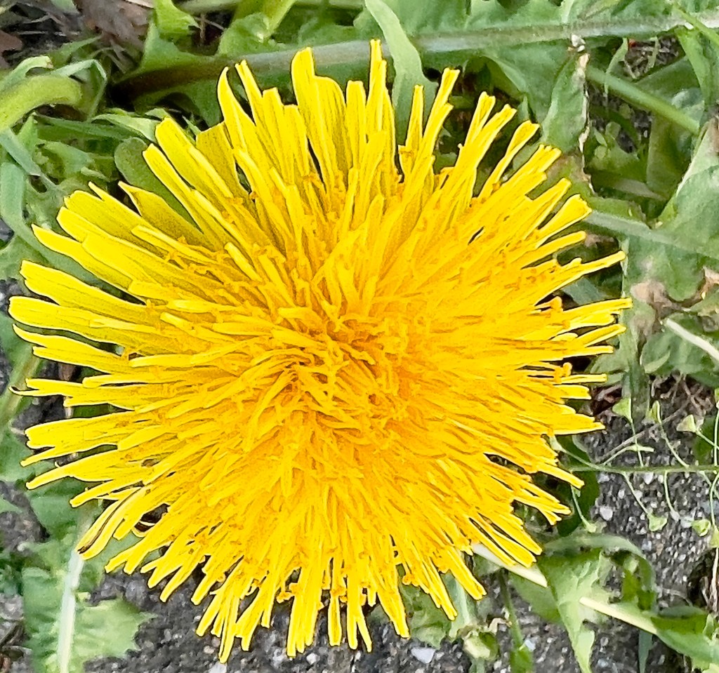 É già fine Marzo… arrivederci mese&nbsp;pazzerello!